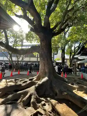 穴八幡宮(東京都)