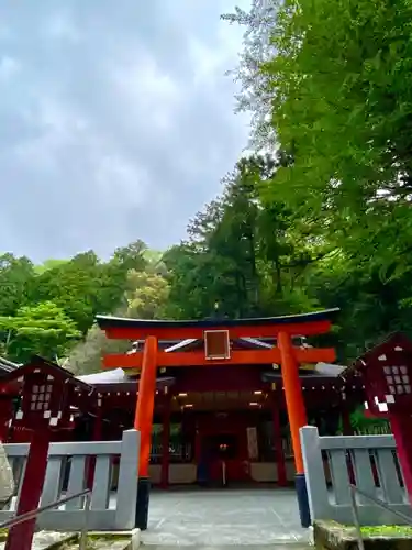 箱根神社の鳥居