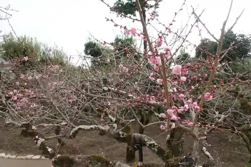 北野天満宮の庭園