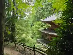 岩船寺(京都府)