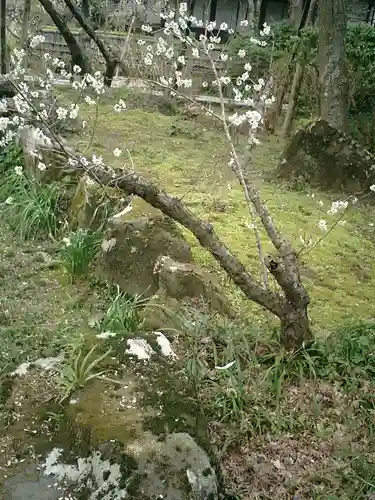 瑞泉寺の庭園