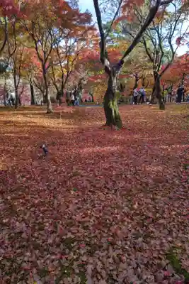 東福禅寺(東福寺)(京都府)