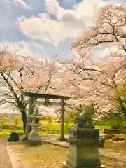 金獄神社の鳥居