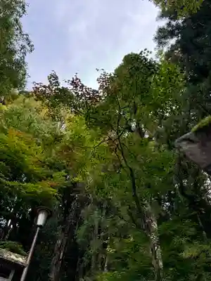 戸隠神社宝光社(長野県)