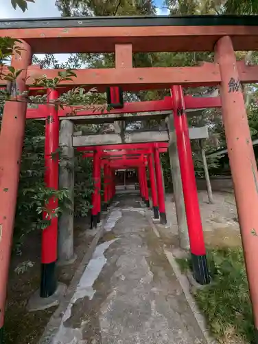 姫路神社(兵庫県)