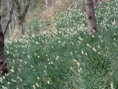 鐸比古鐸比賣神社旧社地の自然