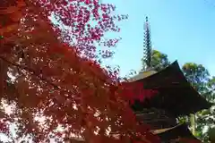 国宝 大法寺(長野県)
