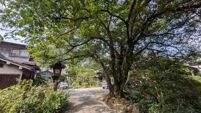 本長寺(滋賀県)