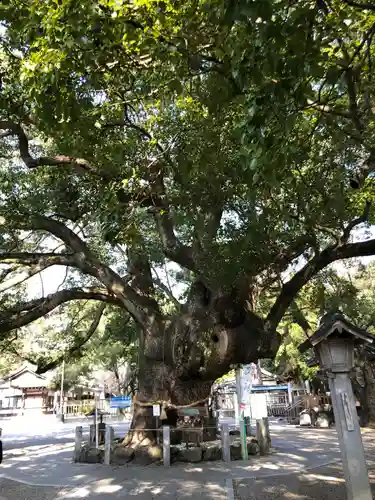 大麻比古神社の自然