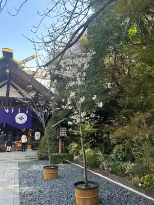 東京大神宮(東京都)