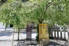 小國神社(静岡県)