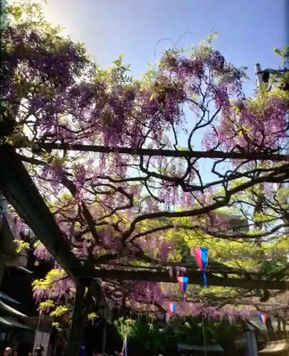 國領神社(東京都)