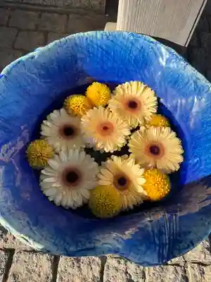 川越八幡宮(埼玉県)