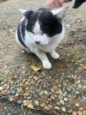 鎌数伊勢大神宮の{uncategorized: "未分類", other: "その他", undefined: "問題あり", building: "その他建物", grave: "お墓", sacred_gate: "鳥居", guardian: "狛犬", statue: "像", buddha: "仏像", history: "歴史", nature: "自然", garden: "庭園", animal: "動物", pagoda: "塔", temizu: "手水舎", mountain_gate: "山門・神門", sanctuary: "本殿・本堂", subordinate: "末社・摂社", art: "芸術", scenery: "景色", jizo: "地蔵", ema: "絵馬", goshuin: "御朱印", omikuji: "おみくじ", items: "授与品その他", amulet: "お守り", goshuincho: "御朱印帳", eats: "食事", festival: "お祭り", votive_dance: "神楽", shichigosan: "七五三参", wedding: "結婚式", experience: "体験その他", initially: "初詣", around: "周辺", anti_infection: "感染症対策"}