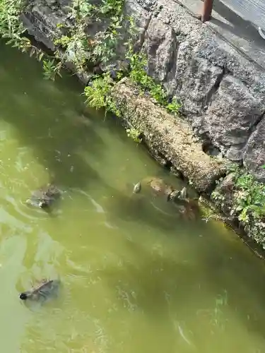 三条八幡宮(新潟県)