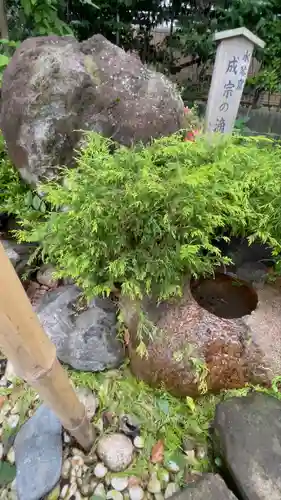 須賀神社(東京都)