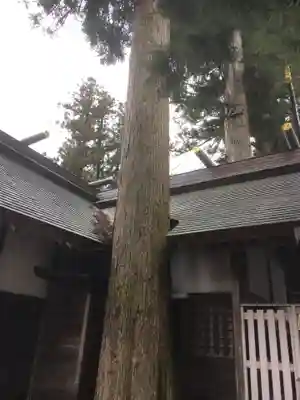 奥氷川神社のその他建物