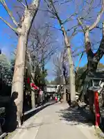 田無神社の自然