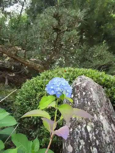 慈尊院(和歌山県)