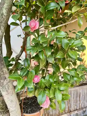 法泉院(東京都)