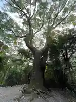 葭原神社(皇大神宮末社)(三重県)