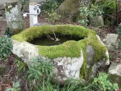 常現寺の手水舎