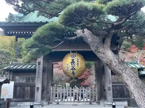 長谷寺の山門・神門