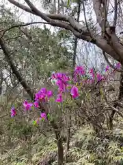 河上神社の自然