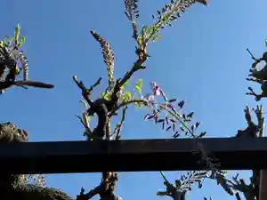 西方山極楽寺(岐阜県)(2026年04月08日(水) 23時57分21秒投稿)