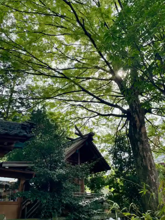 川越熊野神社の{uncategorized: "未分類", other: "その他", undefined: "問題あり", building: "その他建物", grave: "お墓", sacred_gate: "鳥居", guardian: "狛犬", statue: "像", buddha: "仏像", history: "歴史", nature: "自然", garden: "庭園", animal: "動物", pagoda: "塔", temizu: "手水舎", mountain_gate: "山門・神門", sanctuary: "本殿・本堂", subordinate: "末社・摂社", art: "芸術", scenery: "景色", jizo: "地蔵", ema: "絵馬", goshuin: "御朱印", omikuji: "おみくじ", items: "授与品その他", amulet: "お守り", goshuincho: "御朱印帳", eats: "食事", festival: "お祭り", votive_dance: "神楽", shichigosan: "七五三参", wedding: "結婚式", experience: "体験その他", initially: "初詣", around: "周辺", anti_infection: "感染症対策"}