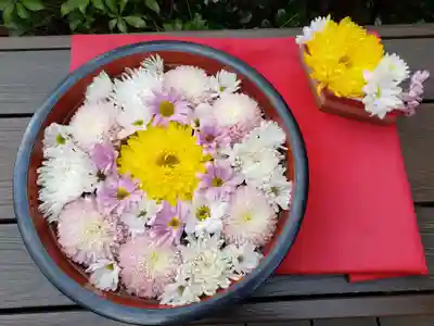 増上寺塔頭 三縁山 宝珠院の手水舎