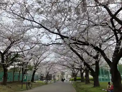 隅田川神社(東京都)