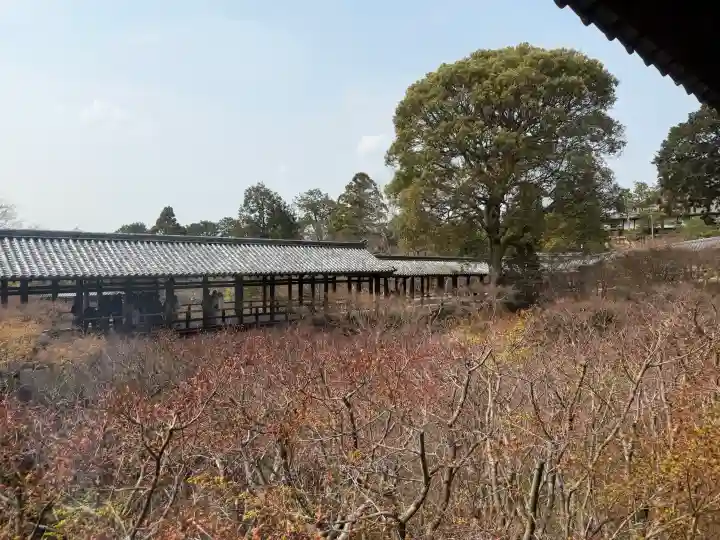 東福禅寺(東福寺)の{uncategorized: "未分類", other: "その他", undefined: "問題あり", building: "その他建物", grave: "お墓", sacred_gate: "鳥居", guardian: "狛犬", statue: "像", buddha: "仏像", history: "歴史", nature: "自然", garden: "庭園", animal: "動物", pagoda: "塔", temizu: "手水舎", mountain_gate: "山門・神門", sanctuary: "本殿・本堂", subordinate: "末社・摂社", art: "芸術", scenery: "景色", jizo: "地蔵", ema: "絵馬", goshuin: "御朱印", omikuji: "おみくじ", items: "授与品その他", amulet: "お守り", goshuincho: "御朱印帳", eats: "食事", festival: "お祭り", votive_dance: "神楽", shichigosan: "七五三参", wedding: "結婚式", experience: "体験その他", initially: "初詣", around: "周辺", anti_infection: "感染症対策"}