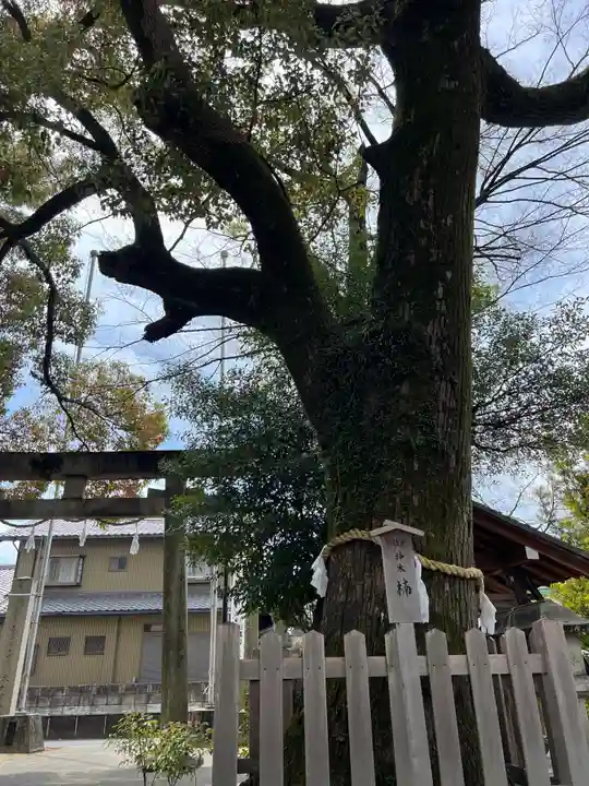 大神神社(花池)の自然