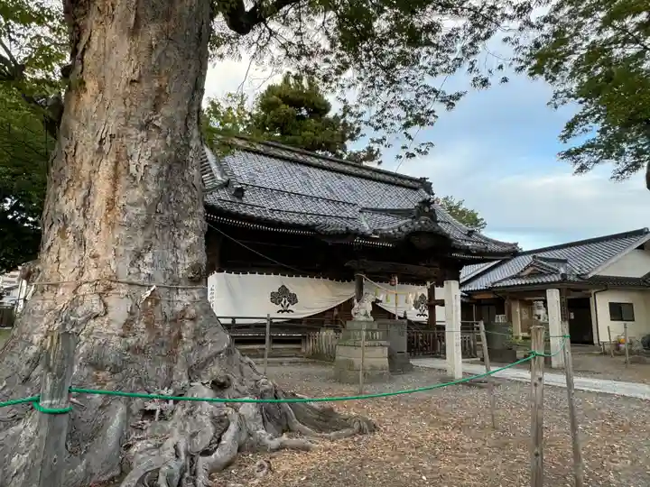 科野大宮社(長野県)