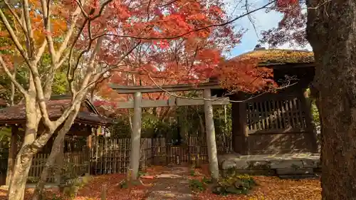 蓮華寺（洛北蓮華寺）(京都府)