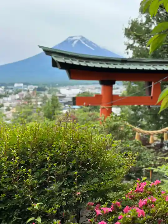 新倉富士浅間神社(山梨県)