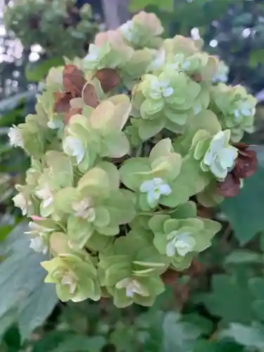 徳蔵寺(茨城県)