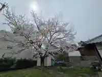 長寿寺(和歌山県)