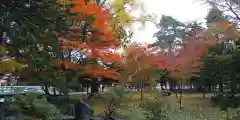 北海道護國神社の自然