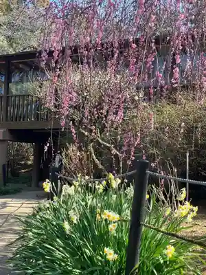 本土寺(千葉県)