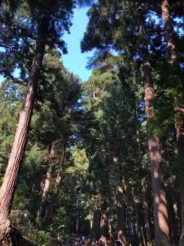 中尊寺(岩手県)