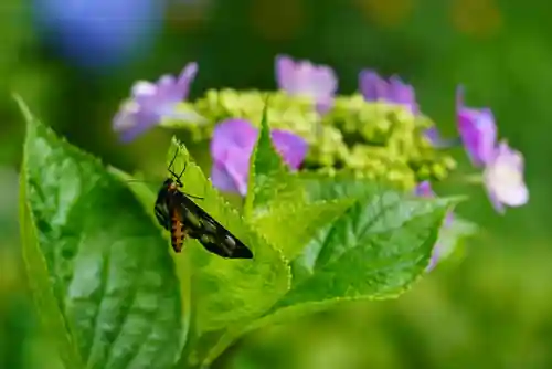 尻岸内八幡神社の景色