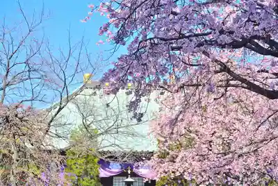 密藏院(埼玉県)