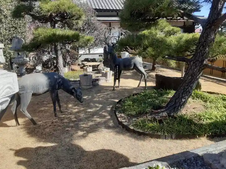 最明寺(埼玉県)