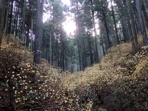 焼森山雷神神社の景色