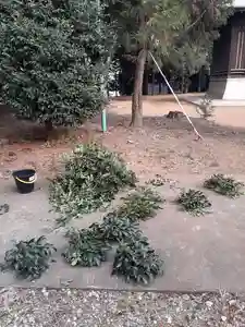 酒門神社(茨城県)(2020年12月12日(土) 14時38分20秒投稿)