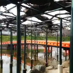 秋葉神社の建物その他