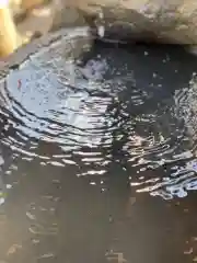 大鏑神社の手水