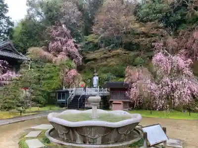 慈尊院のその他建物